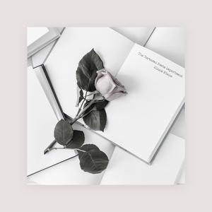 藤村美枝子在线视频
