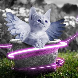 藤村美枝子在线视频
